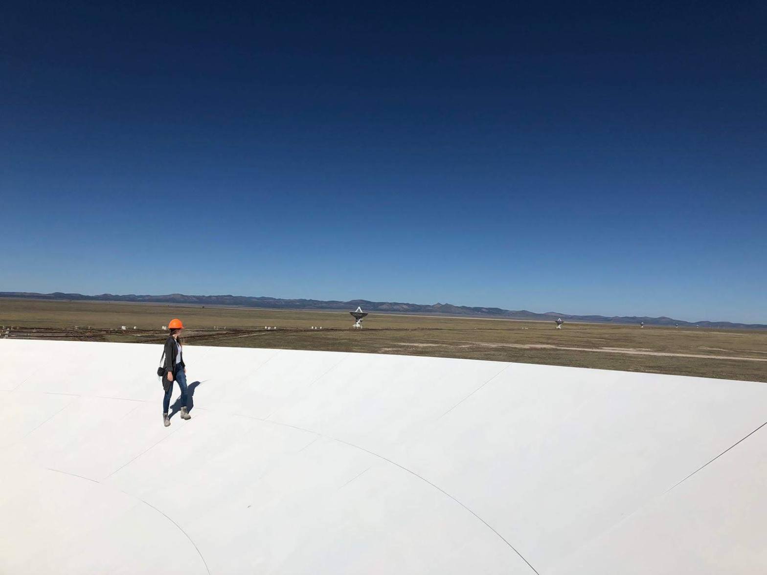 Exiting news! My VLA Large Program got&nbsp;accepted