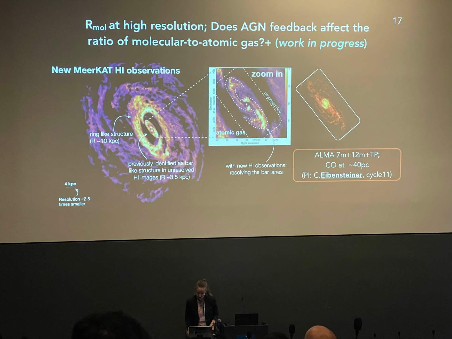 Invited talk at&nbsp;GALRES25